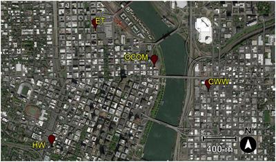 Urban green roofs can support a diversity of parasitoid wasps